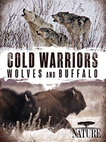 Cold Warriors: Wolves and Buffalo