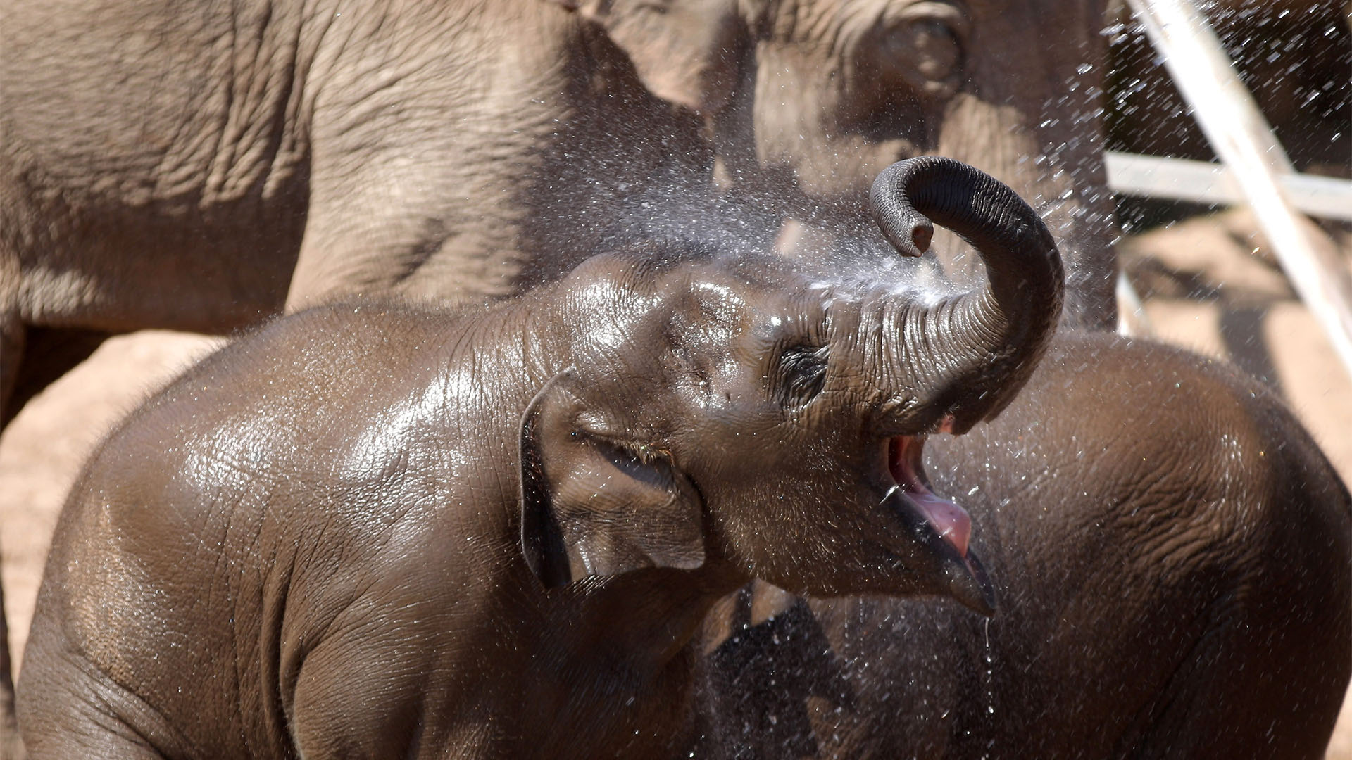 Season 8