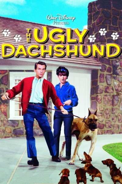 The Ugly Dachshund