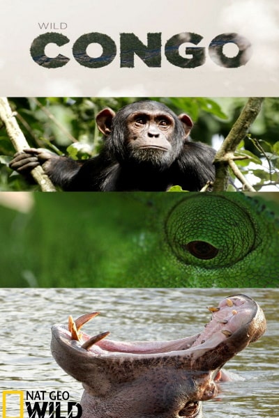 Destination Wild: Congo - Season 1