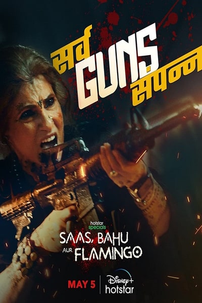 Saas Bahu Aur Flamingo - Season 1