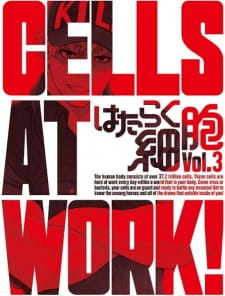 Hataraku Saibou Specials [Sub: Eng]