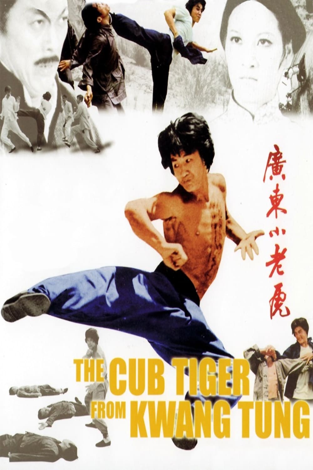 Diao shou guai zhao