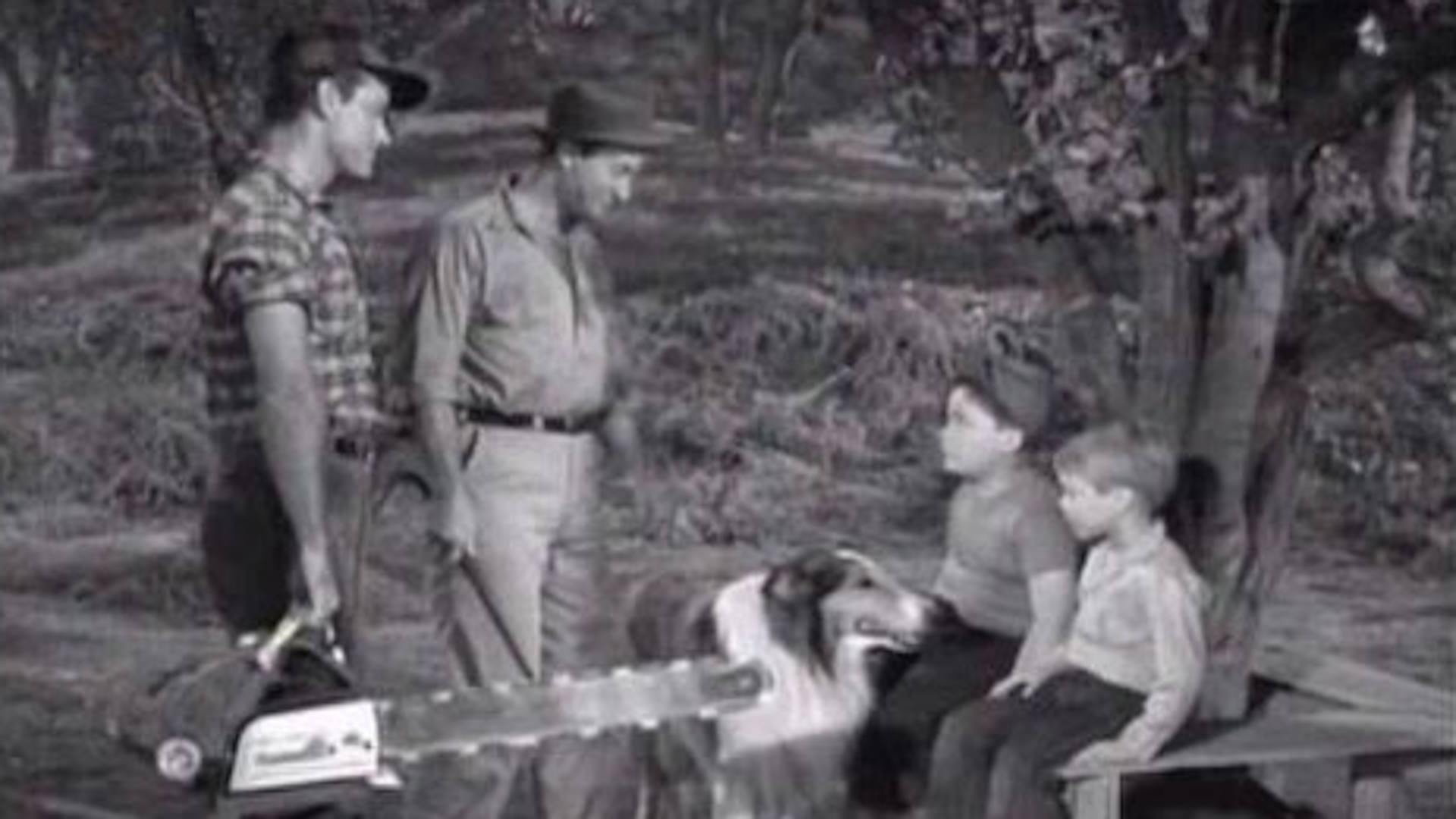 Season 5