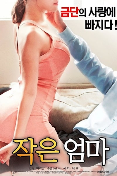 My Uncles Wife ( Jak-eun eom-ma )