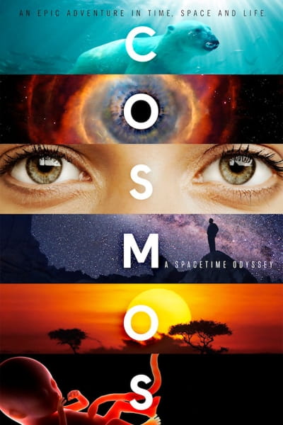 Cosmos: A Spacetime Odyssey - Season 1
