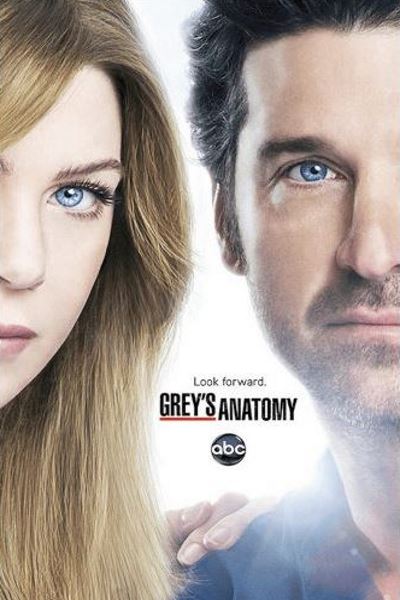 Greys Anatomy - Season 15