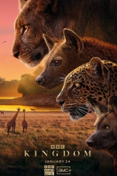 Kingdom - Season 1 (2025)